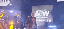 Chris Jericho Aew On Tnt GIF by All Elite Wrestling on TNT