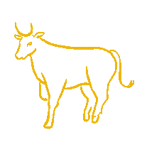 Astro Astrology Sticker