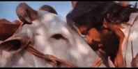 Ram Charan Telugu GIF by Sharat overseas distribution