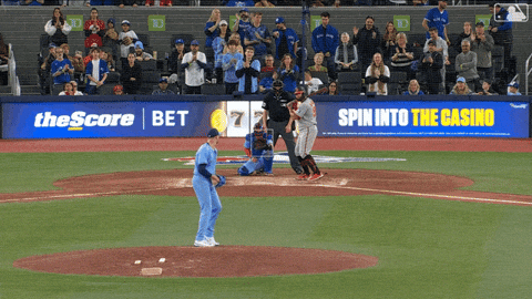 Blue Jays Baseball GIF by Toronto Blue Jays