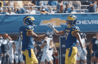 College Sports Football GIF by Delaware Blue Hens