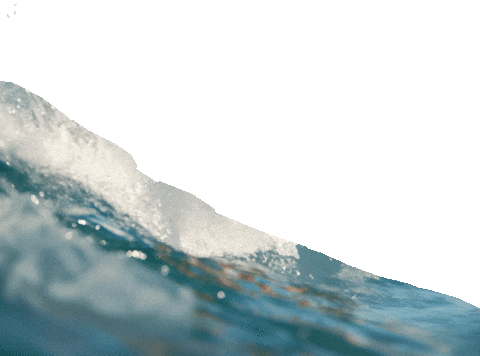 Summer Wave Sticker by Oakheart Property