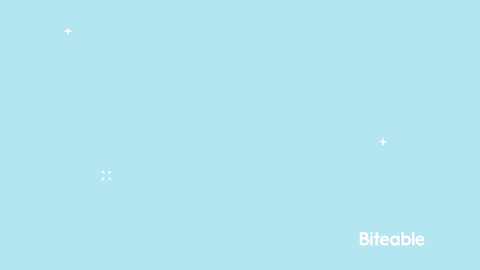 Happy Cactus GIF by Biteable