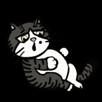 irene_hsyu cat full breath 고양이 GIF