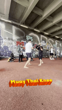 Martial Arts Gym GIF by Casol