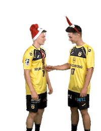 Sport Handball Sticker by HSC 2000 Coburg