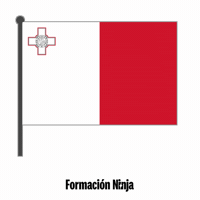 Flag Bandera GIF by Formación Ninja