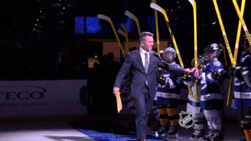 st louis blues GIF by NHL