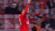 sl benfica no GIF by Sport Lisboa e Benfica