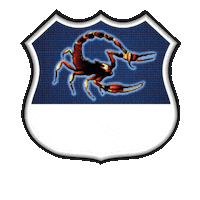 zeladoriascorpion scorpion seguranca protecao monitoramento Sticker