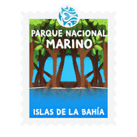 BICAinc logo animals fish sea Sticker