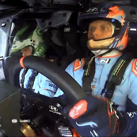 Driver Driving GIF by FIA World Rally Championship