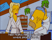 homer simpson GIF