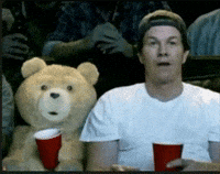 Mark Walhberg Ted Movie GIF
