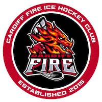Fire Hockey Sticker by Cardiff Fire
