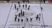 celebrate ice hockey GIF by NHL