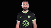 Admir Mehmedi Reaction GIF by VfL Wolfsburg