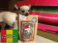 GIF by League of Crafty Canines