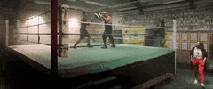 luv films GIF