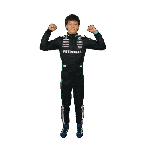 Formula One Sticker Sticker by Mercedes-AMG Petronas Formula One Team