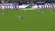 Football Soccer GIF by FC Schalke 04