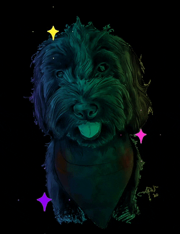 shoptrendypaw dogs onyx petportrait trendypaw GIF
