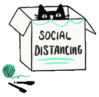 Cat Hiding Sticker