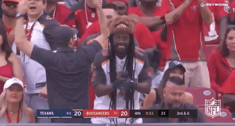 2019 Nfl Football GIF by NFL