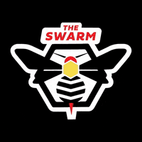 blueridgerollerderby bees derby roller derby swarm GIF