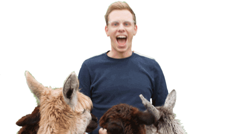 Bauer Sucht Frau Alpaca Sticker by Sven H. Photography