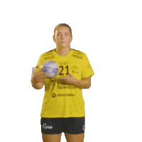 Rema1000Ligaen Sticker by Norsk Topphåndball