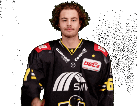 Del2 Seidenstadt Sticker by Krefeld Pinguine