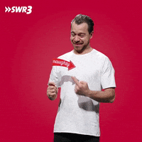 Sexy Naughty Or Nice GIF by SWR3