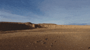 Palibex panda desert seat transporte GIF
