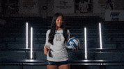 Georgia Tech Volleyball GIF by Georgia Tech Yellow Jackets