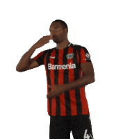 I Love You Smile Sticker by Bayer 04 Leverkusen