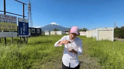 Mt Fuji Japan GIF by Jan Metternich