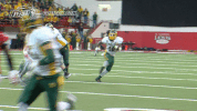 north dakota state football GIF by NDSU Athletics