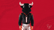 Wasnt Me Hands Up GIF by Houston Texans