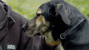 bbc two cooking GIF by BBC