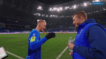 Football Good Job GIF by FC Dynamo Moscow