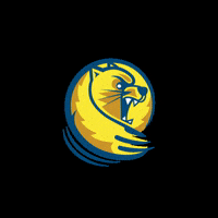 landeruniversity lu lander landeruniversity bearcatready GIF