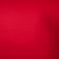 Texas Tech GIF by Texas Tech Baseball