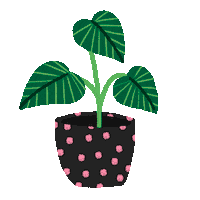 petitevenise flower spring plant plants Sticker