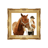 Horserescue Sticker by All Seated in a Barn