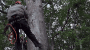 josh gates travel GIF