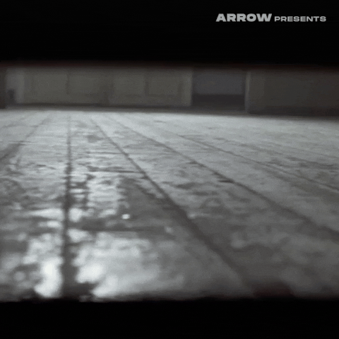 Film Horror GIF by Arrow Video
