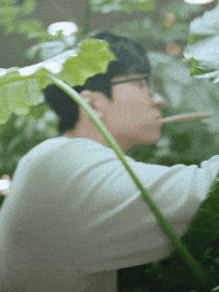 세븐틴 Jeonwonwoo GIF