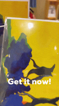 Comprar Buy Now GIF by Casol