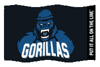 Flag Linemen Sticker by Southeast Lineman Training Center